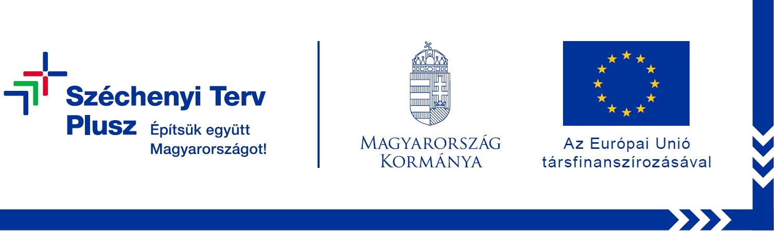 FORGÓESZKÖZ FINANSZÍROZÁS A BW ORGANIZATION KFT-NÉL